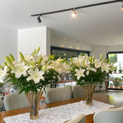 Bodrum Canandan Çiçek Atölyesi